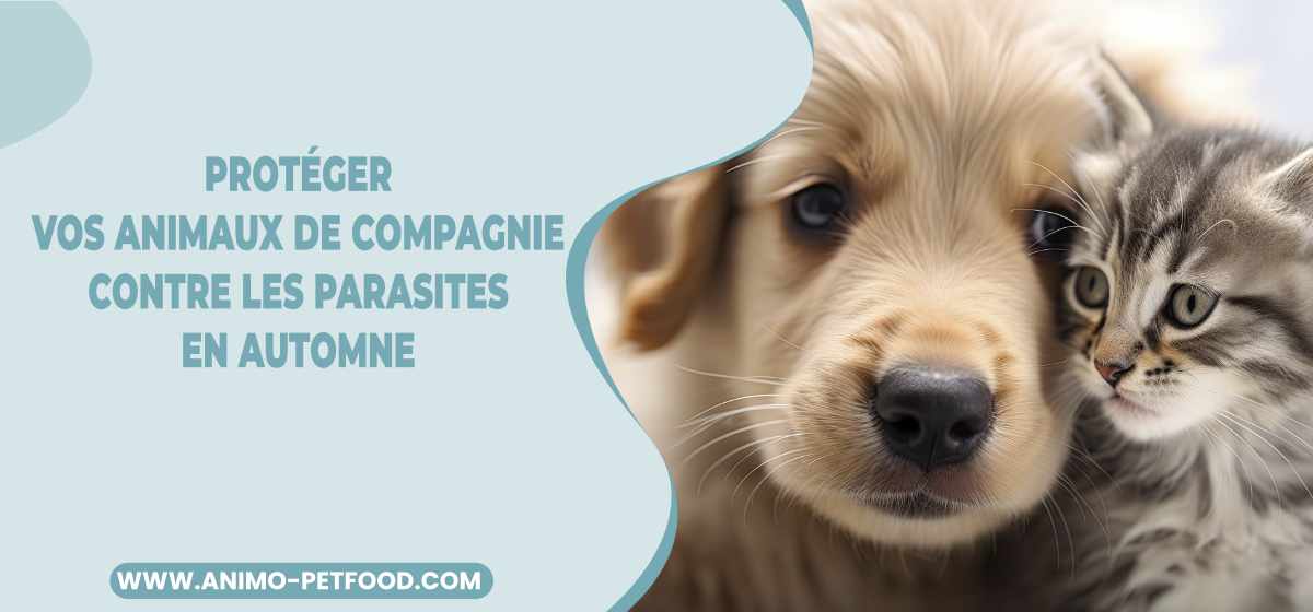 proteger-animaux-parasites-automne